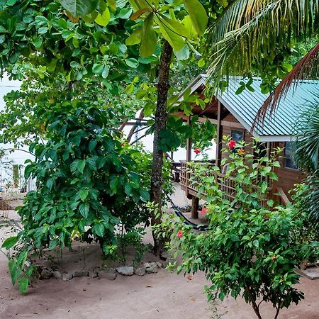 Blue Island Divers Casita Azul Сэнди-Бей Экстерьер фото