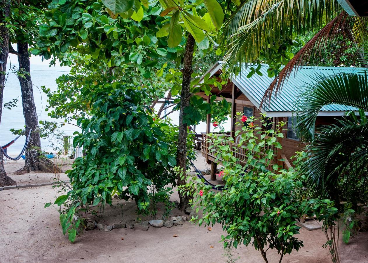 Blue Island Divers Casita Azul Сэнди-Бей Экстерьер фото